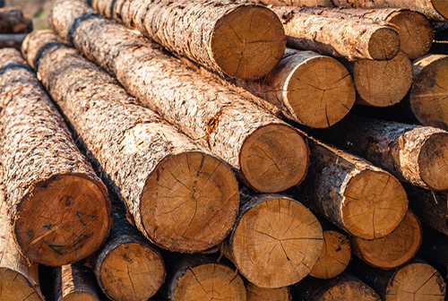 hard-wood-logs
