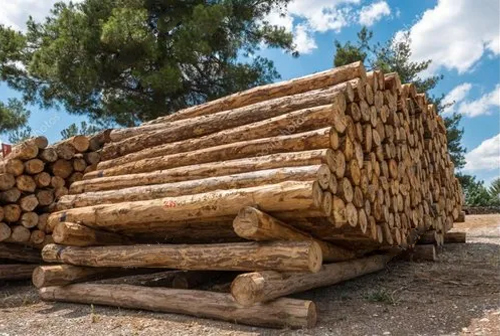 Pine Wood Manufacturers